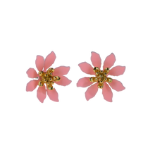 Load image into Gallery viewer, Pastel Pink KAUAI